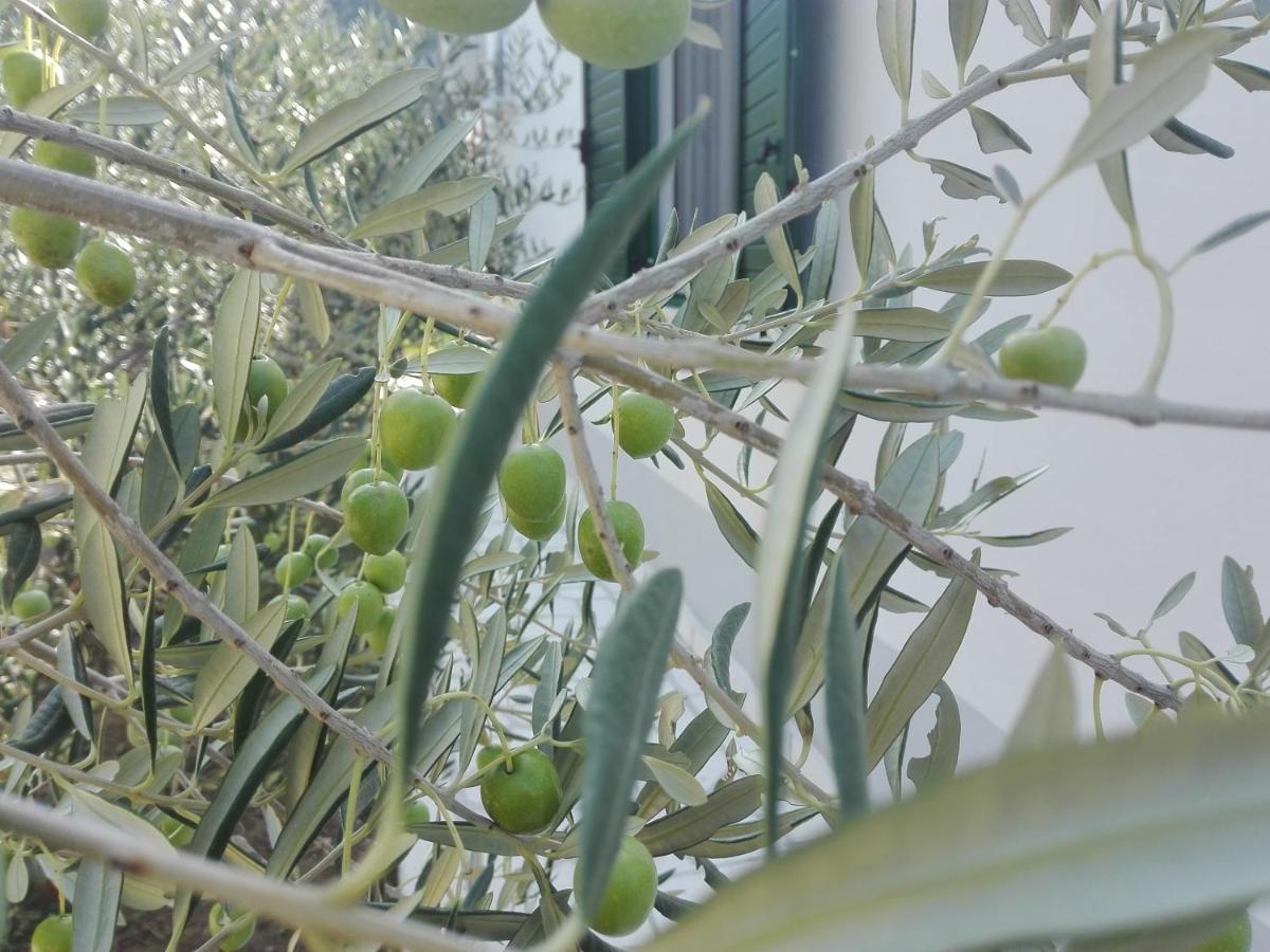 Kuca Za Odmor Maka Villa Kucice Ngoại thất bức ảnh