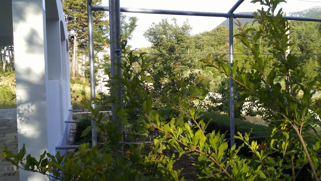 Kuca Za Odmor Maka Villa Kucice Ngoại thất bức ảnh