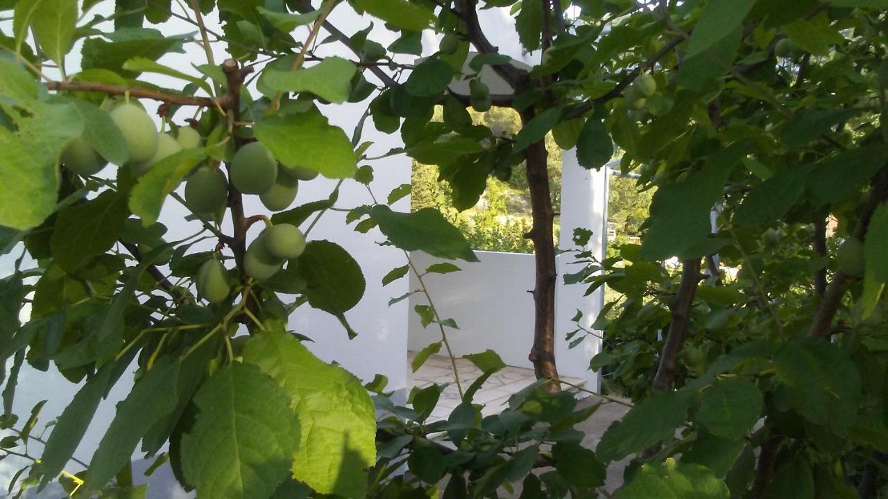 Kuca Za Odmor Maka Villa Kucice Ngoại thất bức ảnh